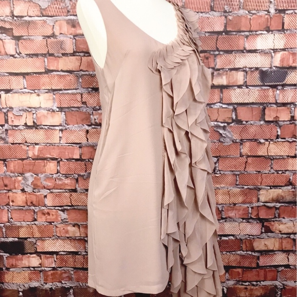 H&M Dresses & Skirts - Gorgeous H&M Champagne Ruffle Dress SZ 4